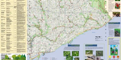 Bản đồ của công viên, đường đi bộ về phía Đông Toronto