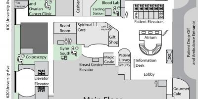 Bản đồ của công Chúa Margaret trung Tâm Ung thư Toronto sàn chính
