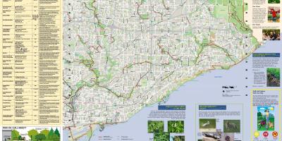 Bản đồ của công viên, đường đi bộ về phía Đông Toronto