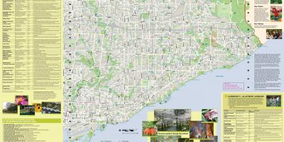 Bản đồ của khu vườn Toronto đông