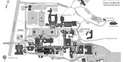 Bản đồ của Sunnybrook sức Khỏe trung tâm khoa học - SHSC